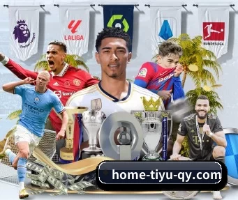 home-tiyu-qy.com APP