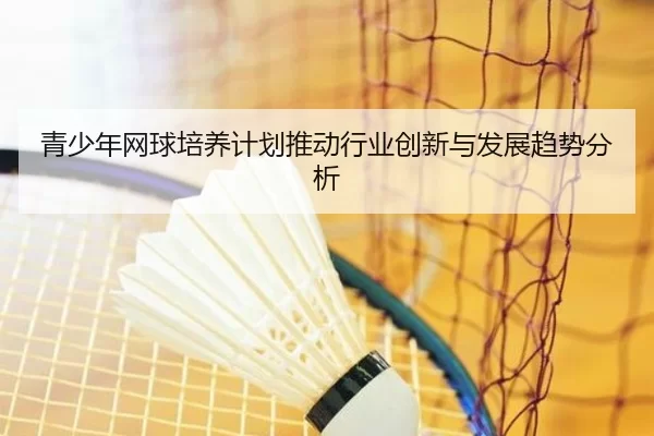 青少年网球培养计划推动行业创新与发展趋势分析